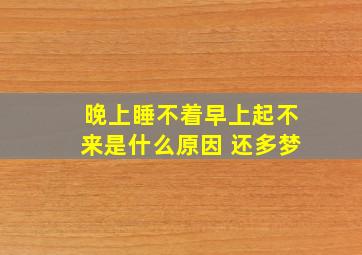 晚上睡不着早上起不来是什么原因 还多梦